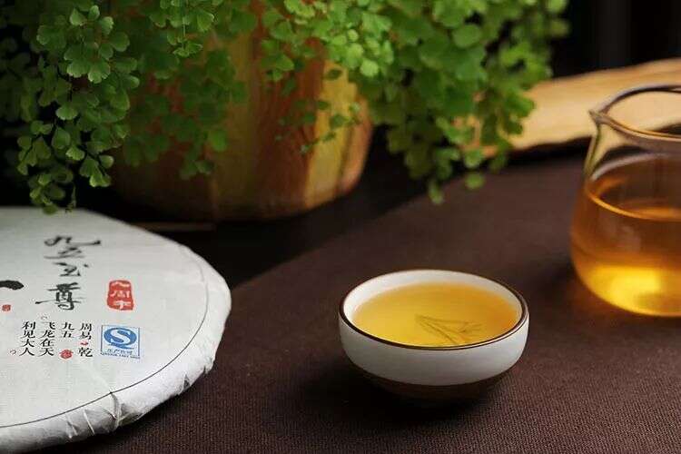 你知道，普洱茶最佳冲泡水温是多少吗？