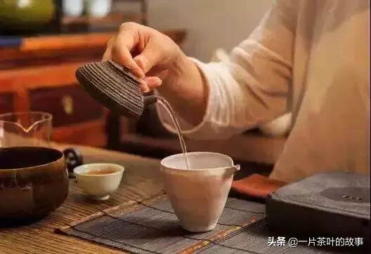 初入茶圈，听不懂茶人间高大上的对话怎么办？