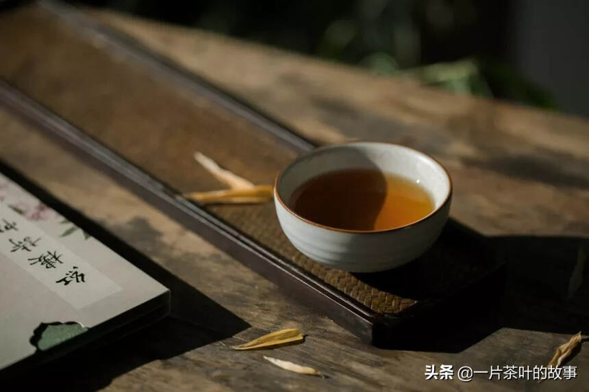 有一種期盼叫春茶