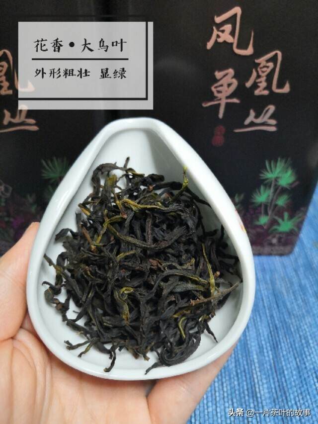 今年的新茶，花香大乌叶单丛，香气真不错！