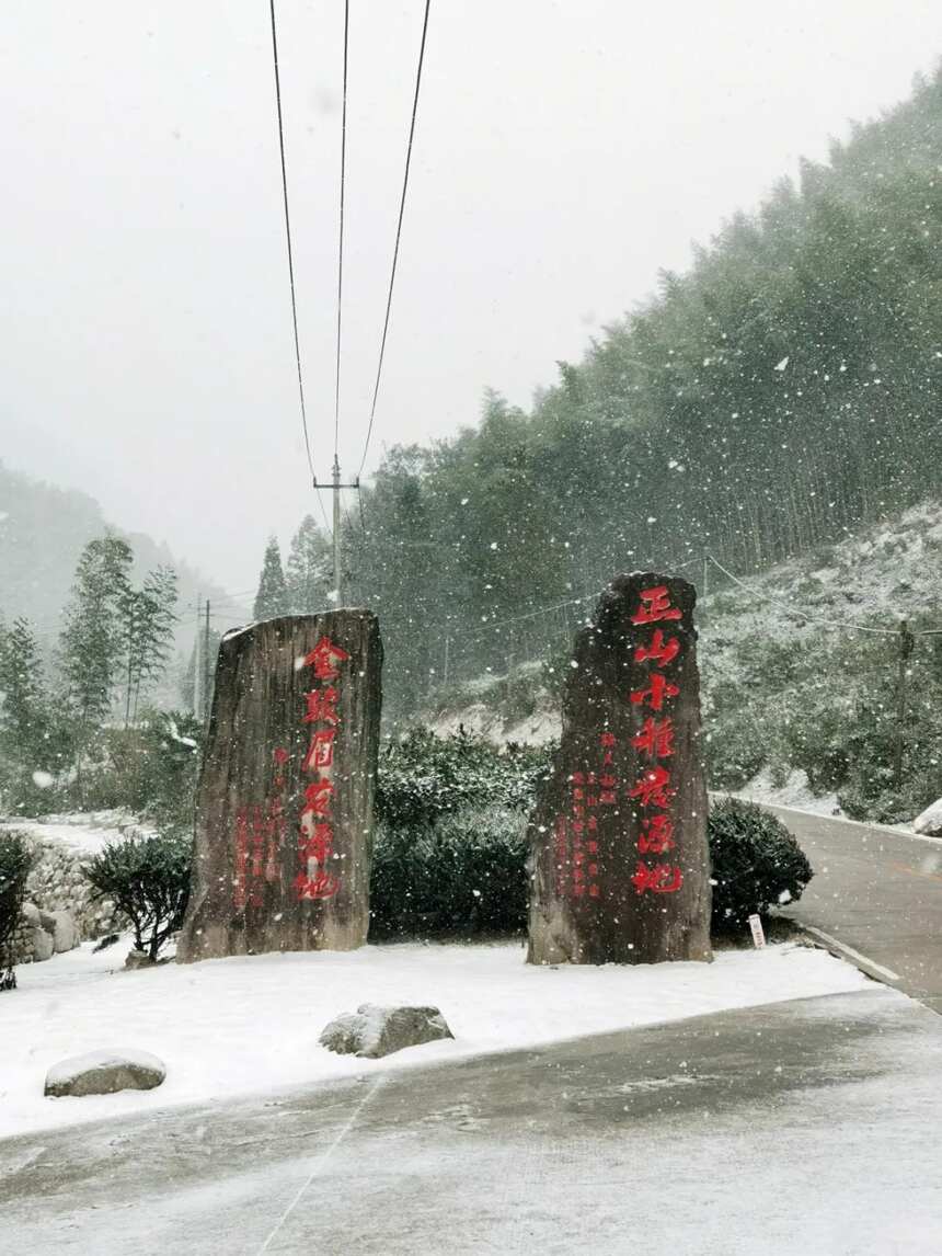 当桐木关的雪落成诗，今年武夷山的茶就更甜了