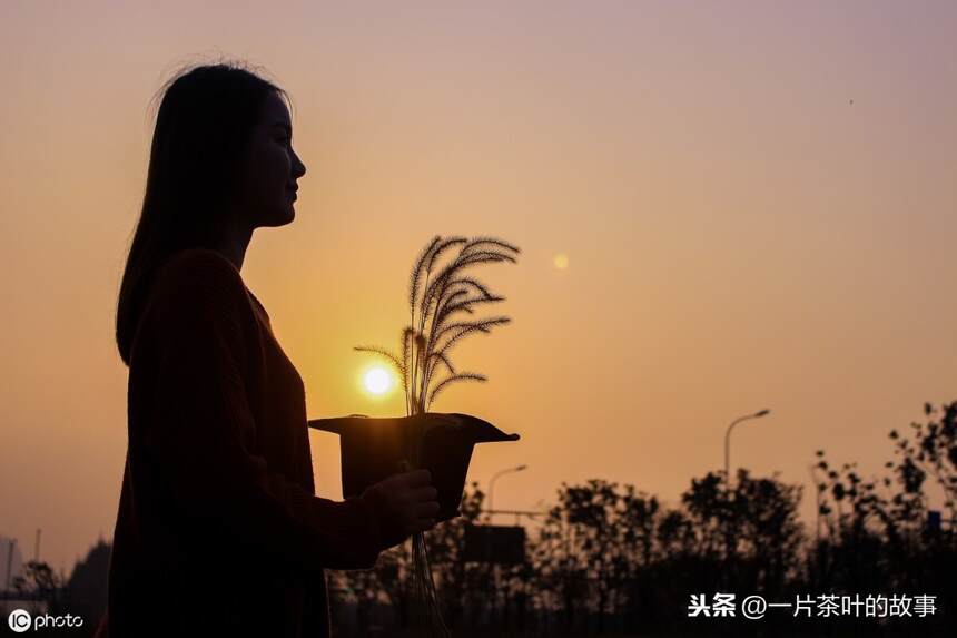 且敬往事一杯茶，愿以后的岁月更温柔