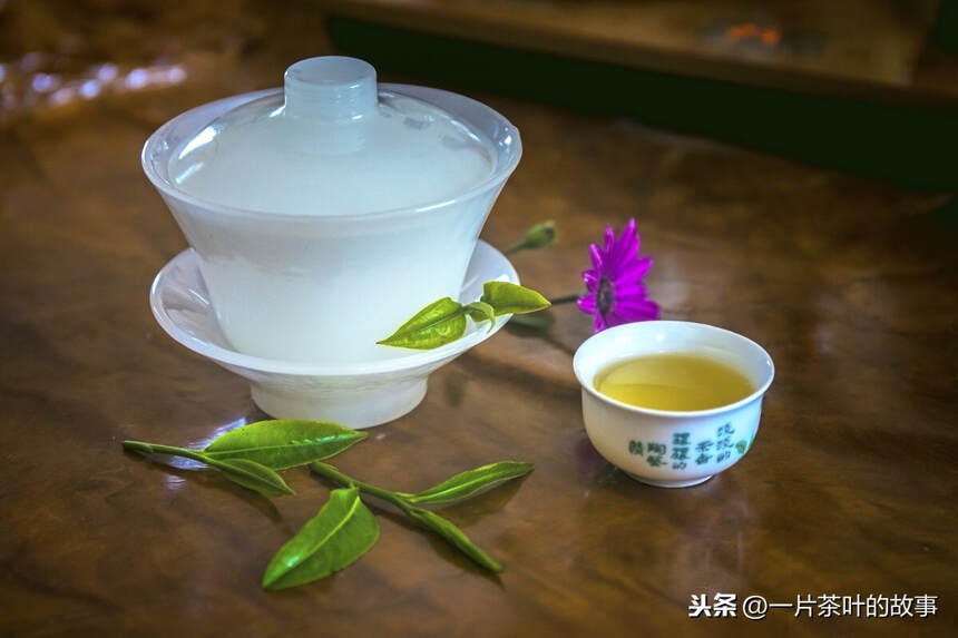 春茶的六大好处！难怪春茶那么贵