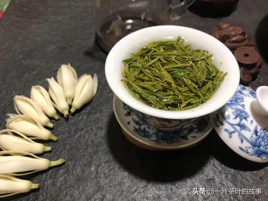 春暖花开时，喝春茶，享春意