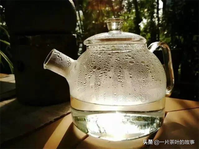 白茶，可以这样泡