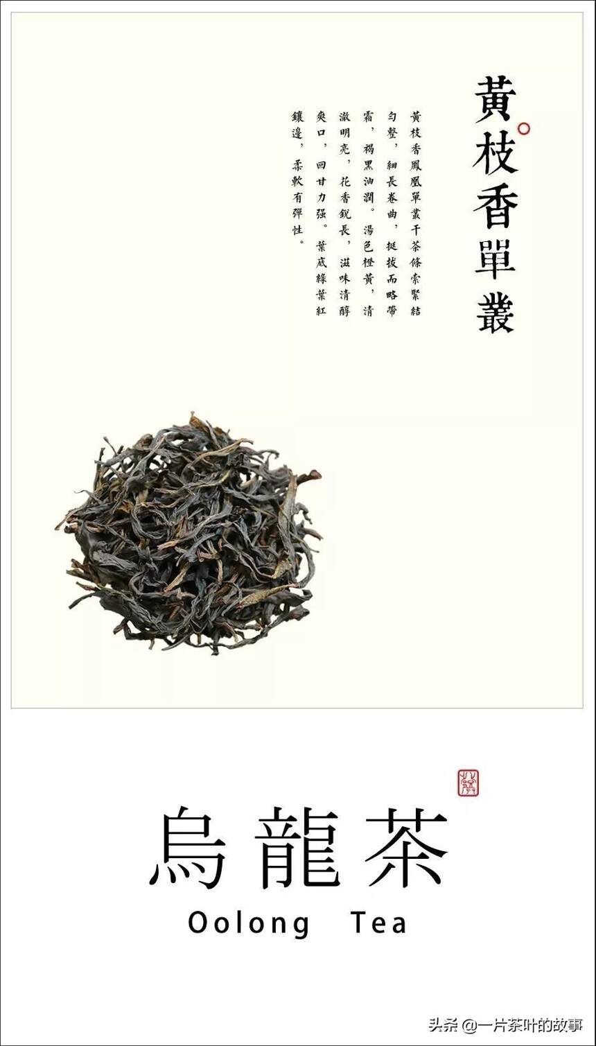 「 乌龙茶 」黄枝香单丛茶