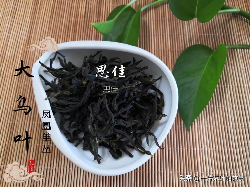 你懂茶，正好，茶也懂你