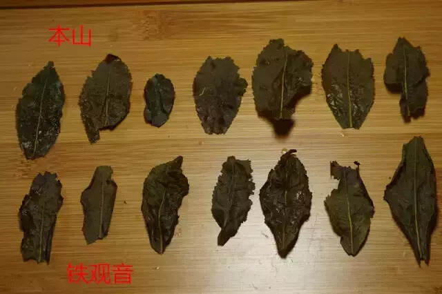 本山是铁观音的弟弟，与铁观音如何辨别？