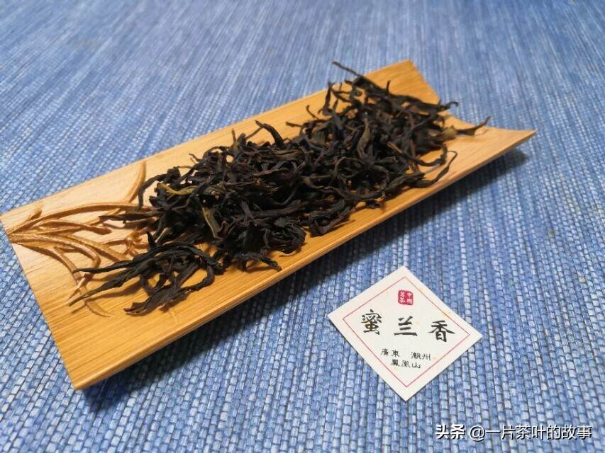 凤凰单丛蜜兰香，被认为是单丛茶的入门茶品