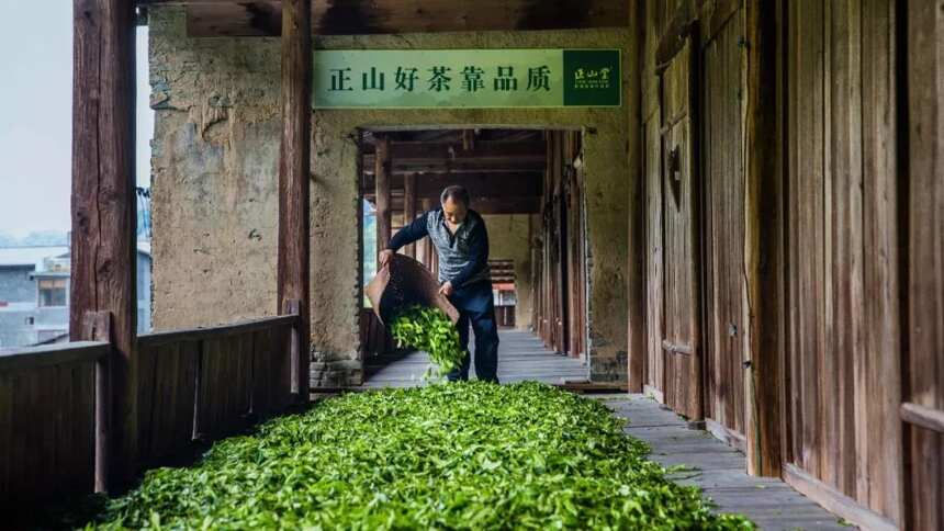 只因有茶，不停的在行走茶路