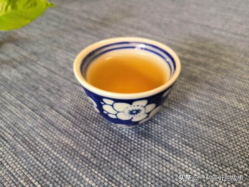 凤凰单丛｜黄枝香，一杯高香优质的乌龙茶