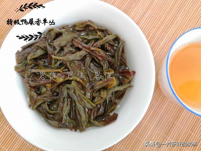 一杯凤凰单丛茶后，心也一片净土