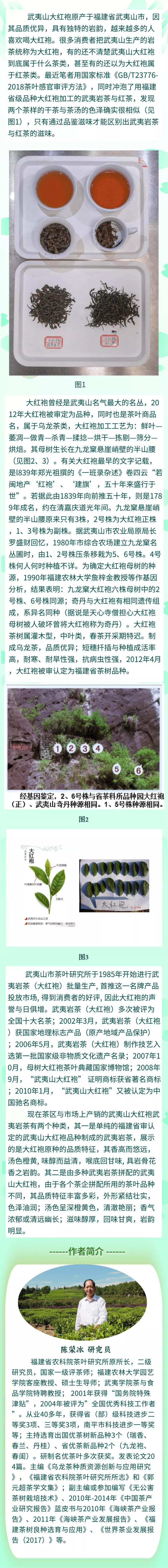 茶科普 | 关于母树大红袍的这些事，你知道吗？