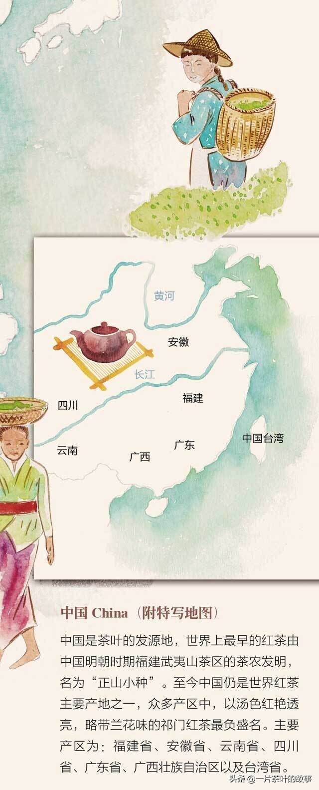 红茶出墙，勾引了全世界