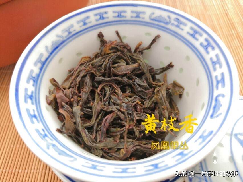 乌龙茶｜这些经典的凤凰单丛茶香型，你一定要尝尝