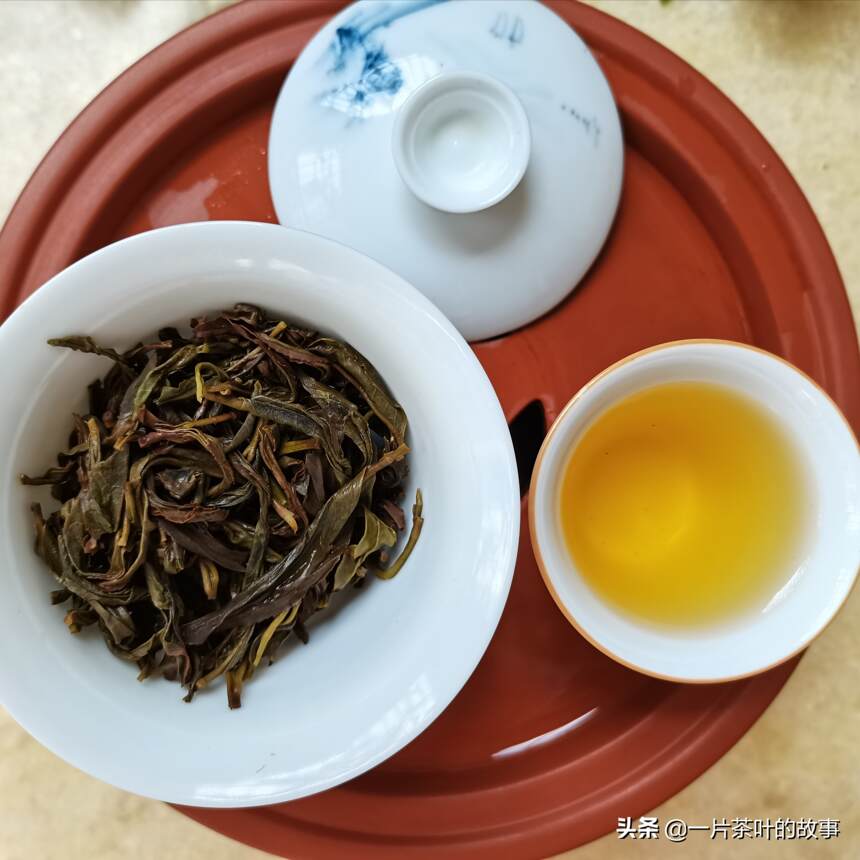 茶知识｜制茶工艺对乌龙茶香气的影响