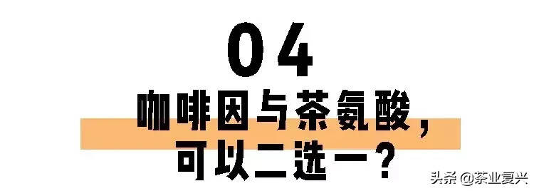 喝茶一定睡不着？长期失眠的你也许缺的就是茶叶