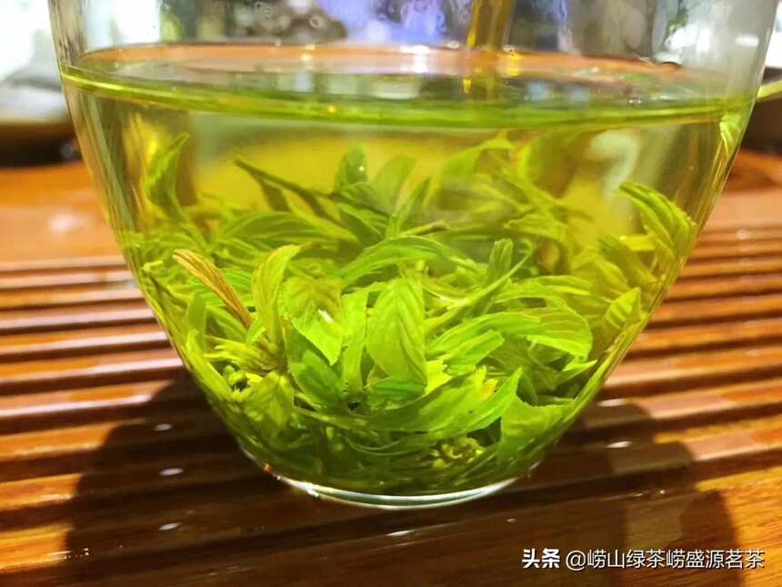 崂山野生茶本土叫甘枣叶茶