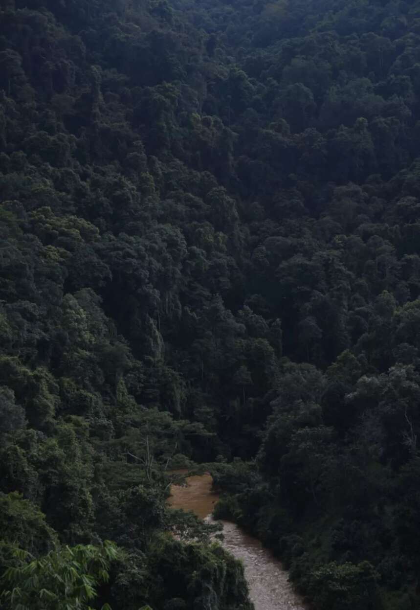 游学招募 | 一 起 上 山 撒 野 吧