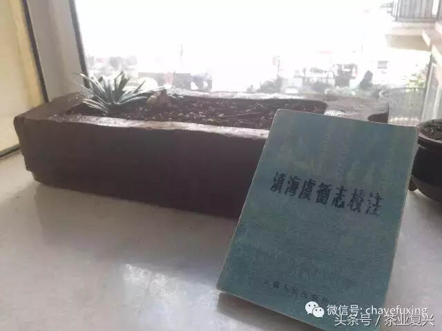 区区800余字，影响普洱茶200年