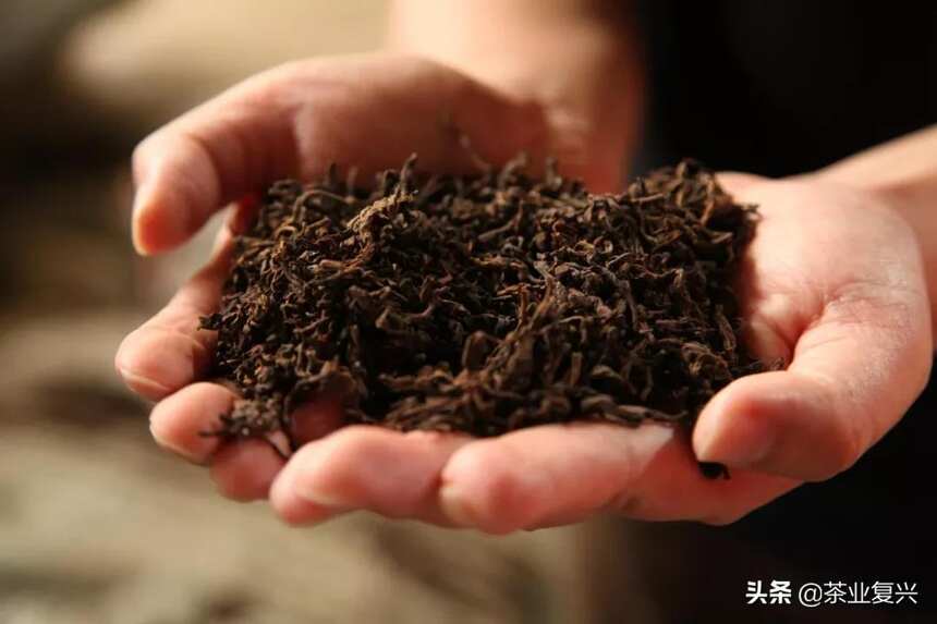 为什么要写一本熟茶教科书？