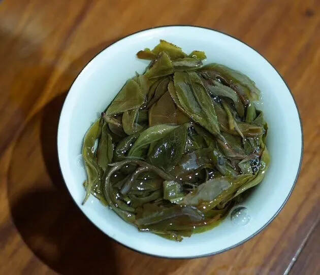 倚邦黄金叶 | 走遍万水千山，醉爱倚邦茶香