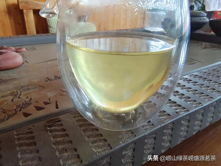 阳历六月崂山绿茶口粮茶批量上市