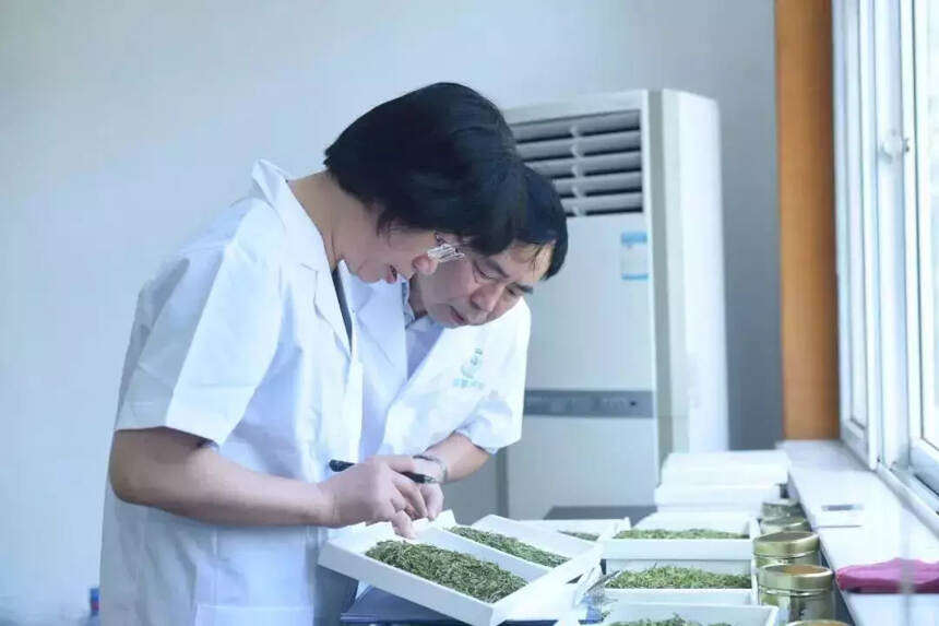 不败茶王！鼎白再次荣获“中茶杯”第九届国际鼎承茶王赛茶王