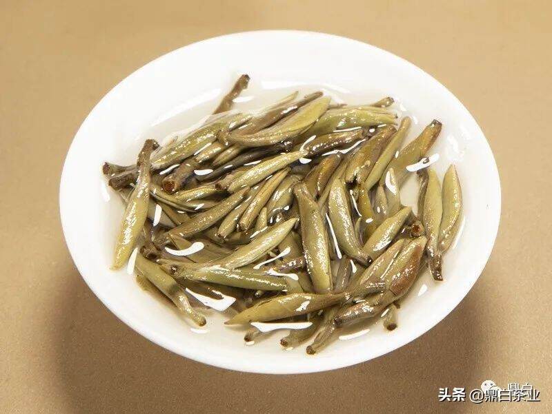 鼎白茶：留存历史，传承岁月