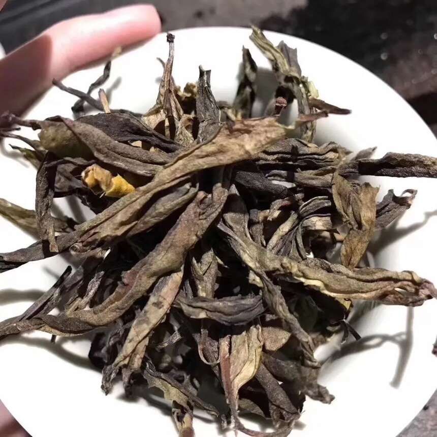 天门山 I 这样的顶级茶品，喝点黄金叶也是件很满足的事