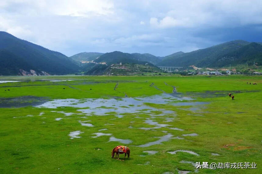 COP15要来了，来看看云南生物多样性小宇宙的大爆发吧