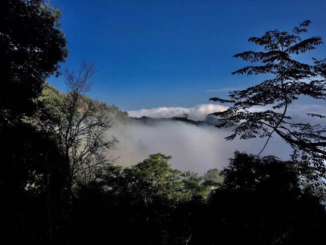 喝普洱茶，会上瘾吗？