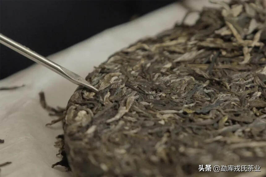 盼了一年，今年的戎氏秋茶怎么样了？