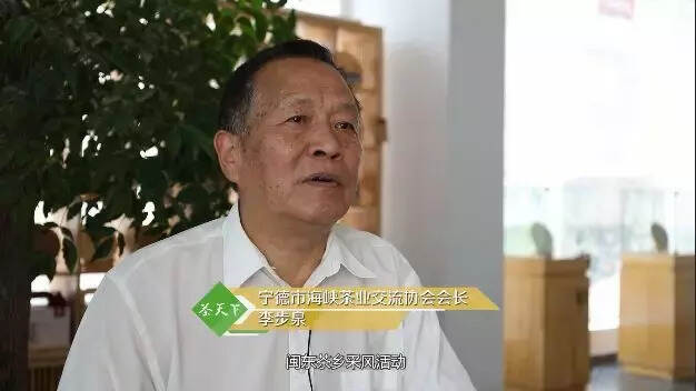 中央、省市“主流媒体走进闽东茶乡”采风，让好茶“香”传天下