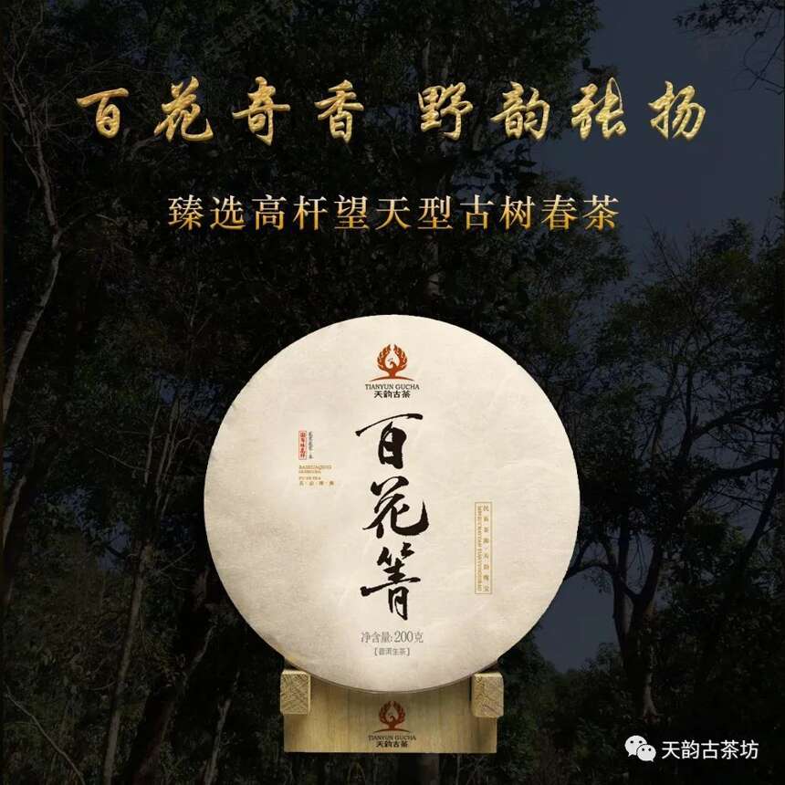 万众翘首以待的巅峰之作，2020年天韵古茶森林古树茶终于上市