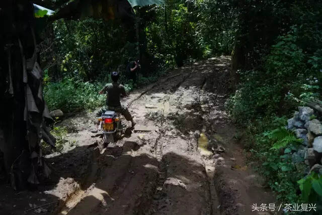 这片土地的脉络，是从茶叶里流淌出的血脉，守茶山就是守江山