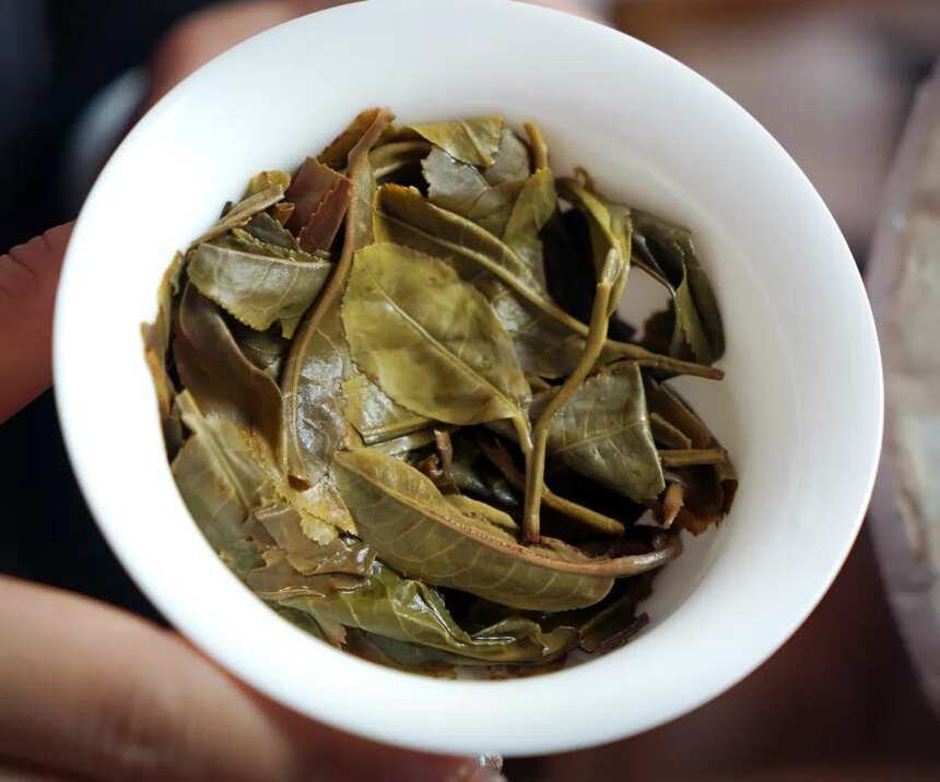 贺开古树茶，值得收藏的高性价比普洱茶