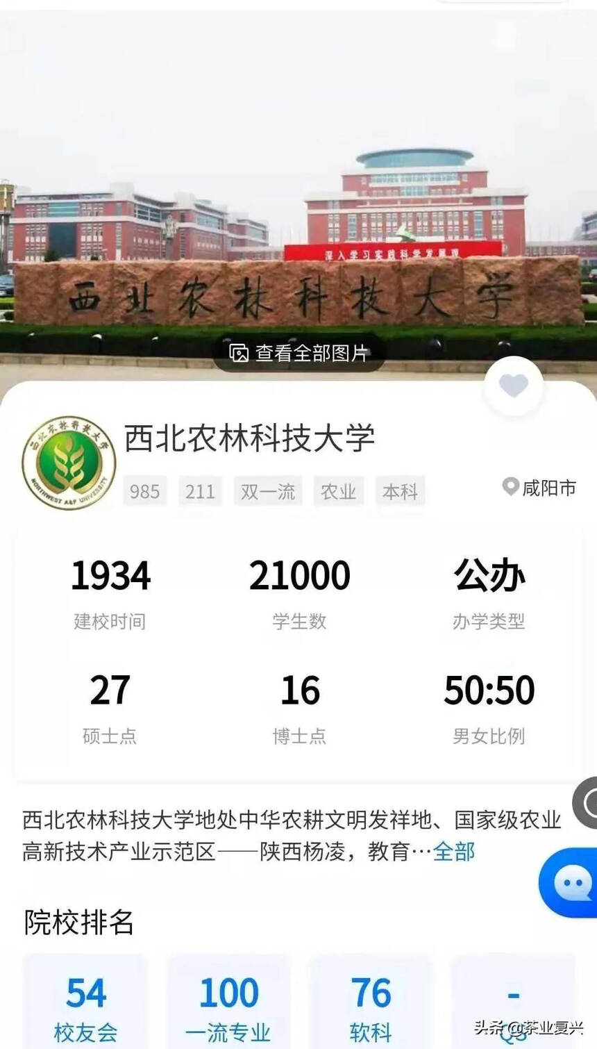 志愿指南 ‖高校茶学最新排名，这15所大学各有绝招