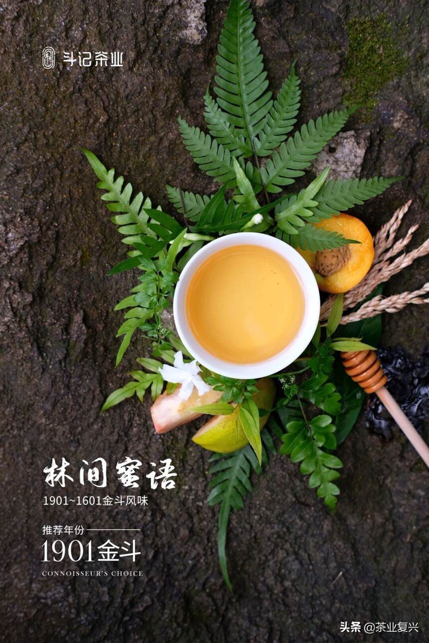 普洱茶为什么这么复杂？