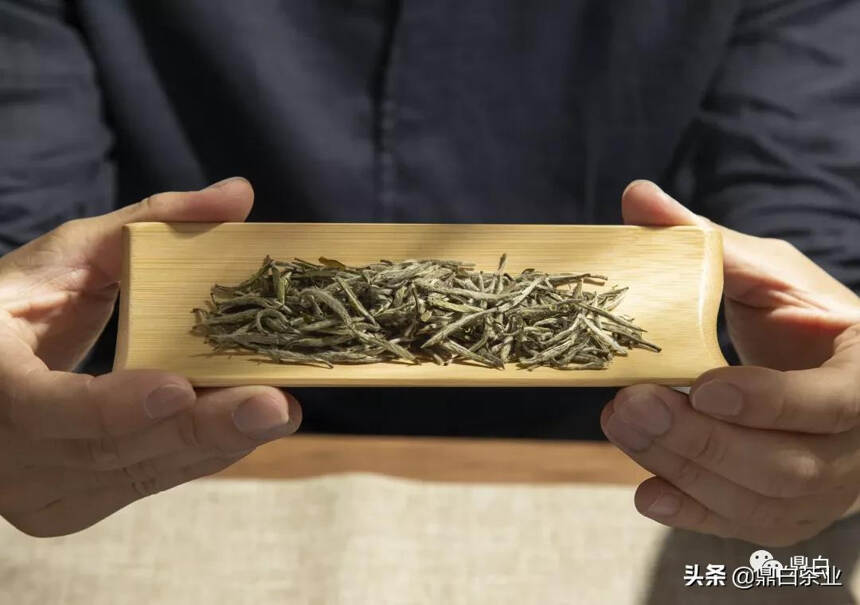 生肖年·典藏茶：虎年生肖银针预售即将开启