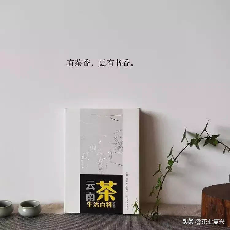 作为一个胖子卖家，如何才能把普洱茶推销给需要减肥的人呢？