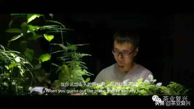 为什么我能直抵普洱茶核心圈？