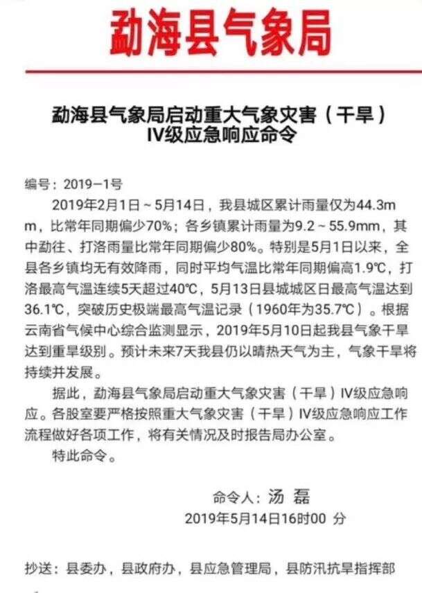 今年春茶质量到底如何？「高温干旱对茶叶品质的影响」