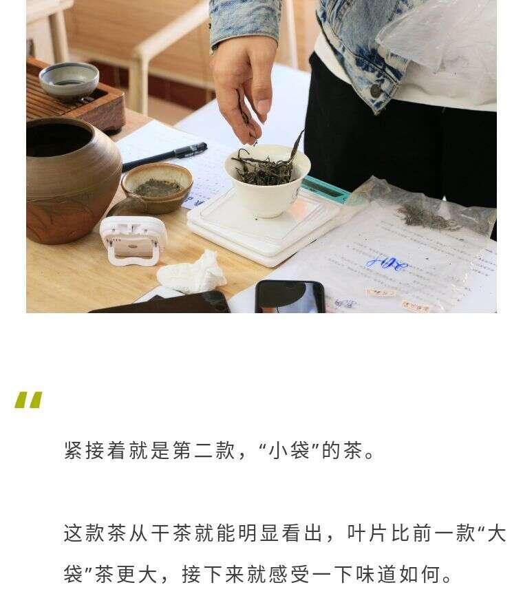 普洱茶茶评第026期