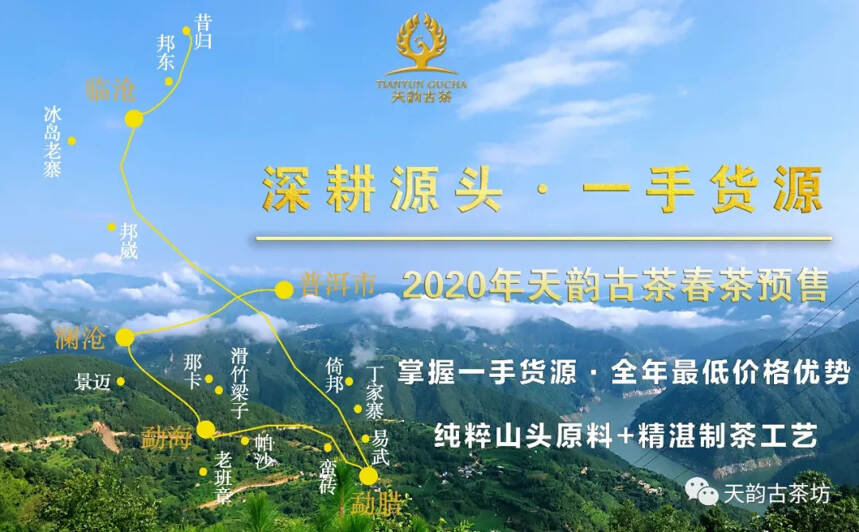 深钻茶山｜您要的2020年头春古树茶就在这里!