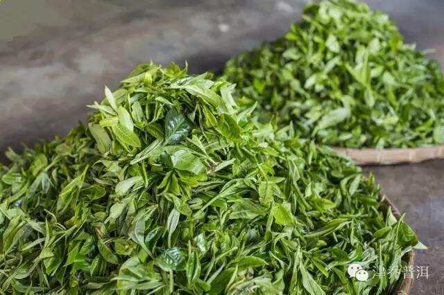 天哪噜！原来做好一饼普洱茶需要那么多步骤！