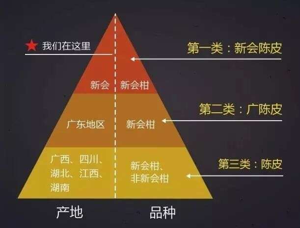 手把手教你辨别真假新会陈皮