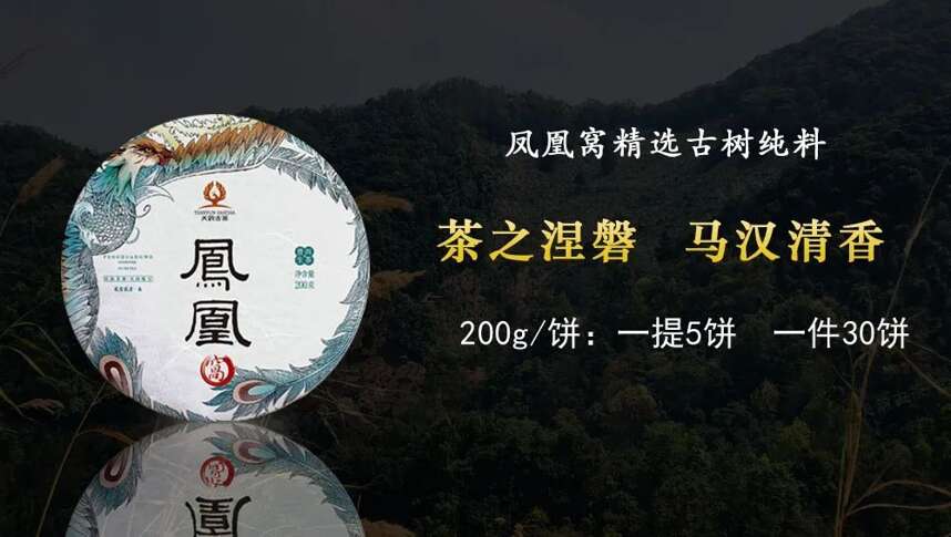 天韵古茶｜普洱茶四大核心基地，为源头品质奠定了良好的基础