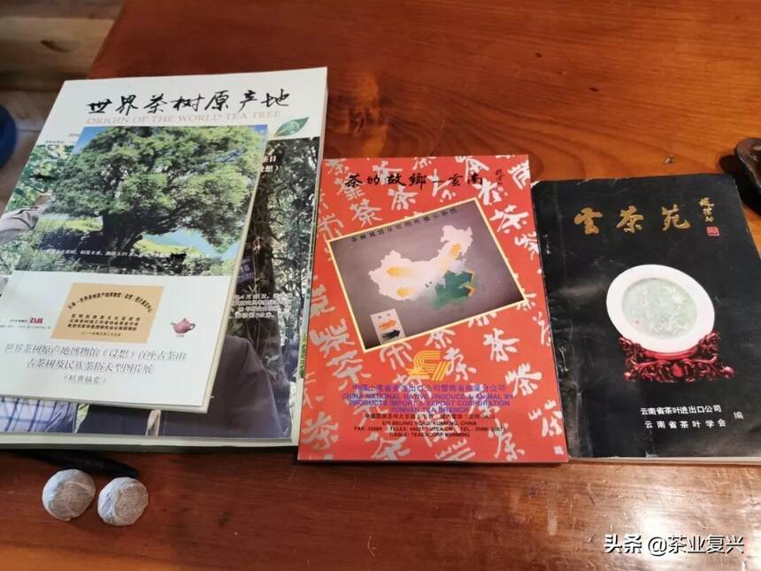 王树文：茶，需要在传承的基础上创新