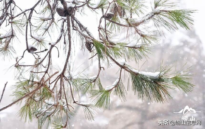 2018年崂山第一场雪